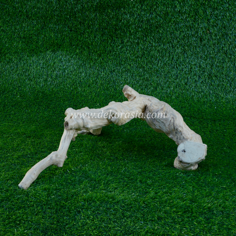 Coffee Root (Size XS) for Jungle Gym Reptile, Vivariums Reptile, Aquarium, Aquascaping, Clean Coffee Root Decor Craft